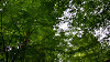 camp29 (201)_thumb.png